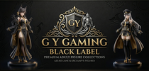 Translation missing: en.GY Gaming Black Label accessibility.home